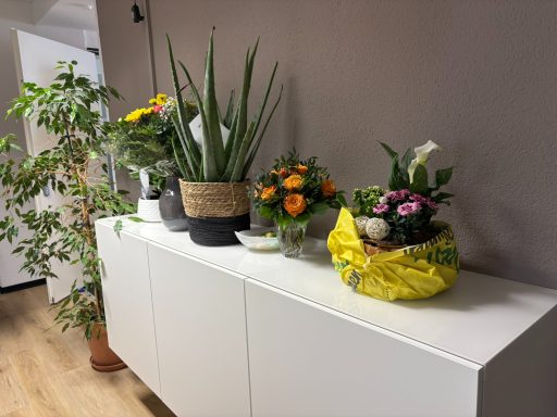 Verschiedene Pflanzen und Blumenarrangements auf einem weißen Sideboard.